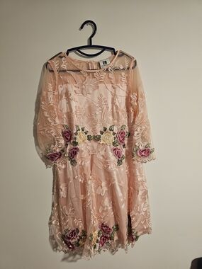 Embroidered Sheer Long-Sleeve Dress in Blush Pink